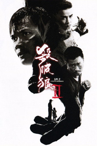 杀破狼2海报