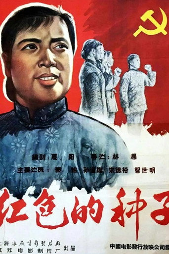 红色的种子海报