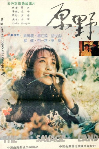原野海报