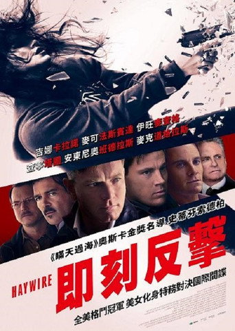 制胜一击海报