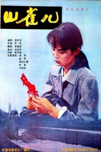 山雀儿海报
