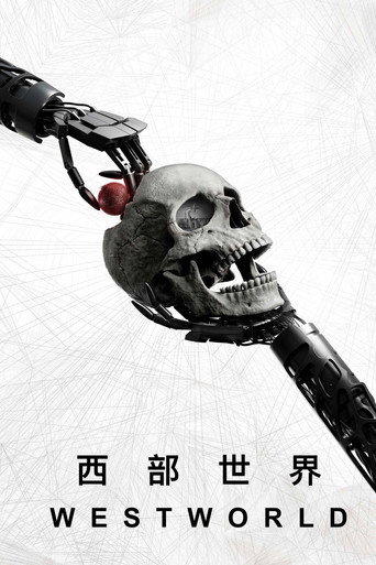西部世界 第4季：选择海报