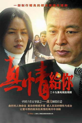 真情给你海报