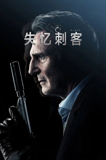 失忆刺客海报