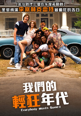 各有少年时海报