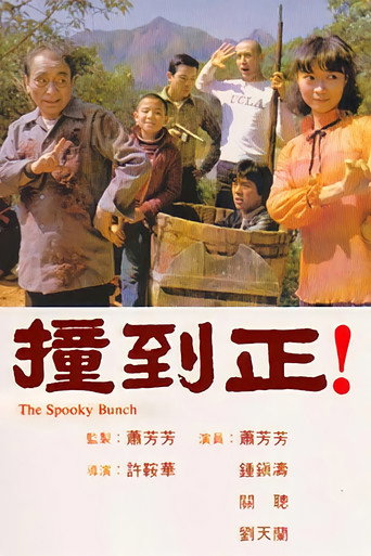 撞到正海报