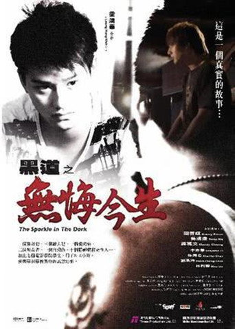 黑道之无悔今生海报