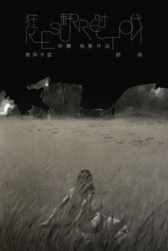 狂野时代海报