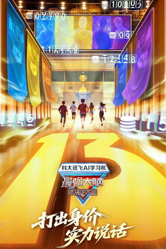 最强大脑 第13季海报