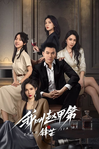 我叫赵甲第之锋芒海报