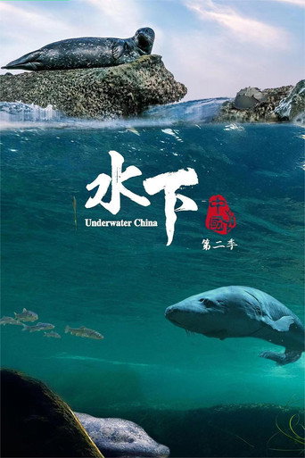 水下中国 第 2 季海报