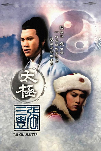 太极张三丰海报