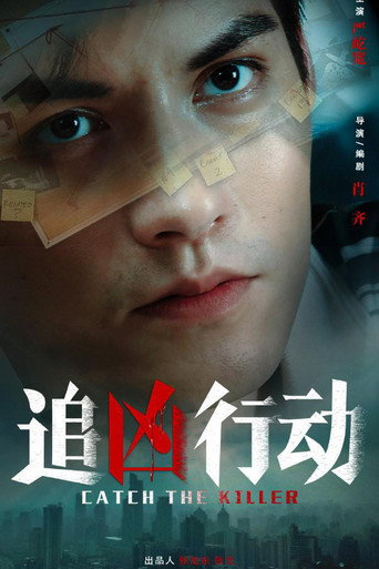 追凶行动海报