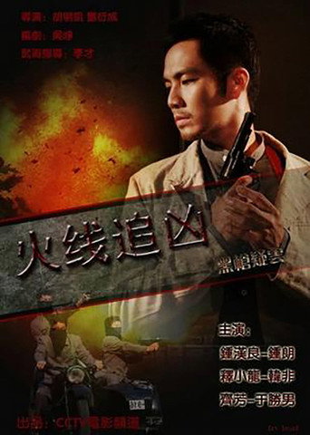 火线追凶之黑枪疑云海报
