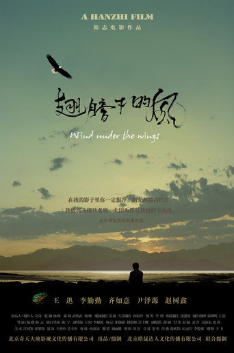 翅膀下的风海报