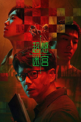 超感迷宫海报