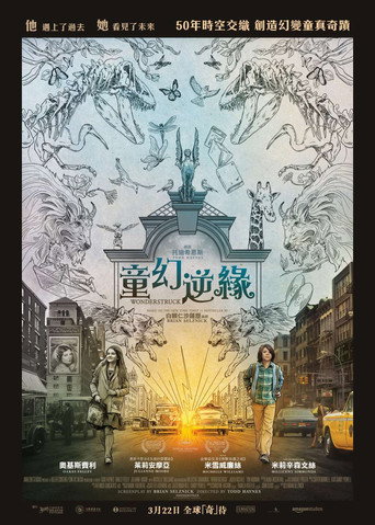 寂静中的惊奇海报