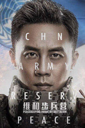 维和步兵营海报