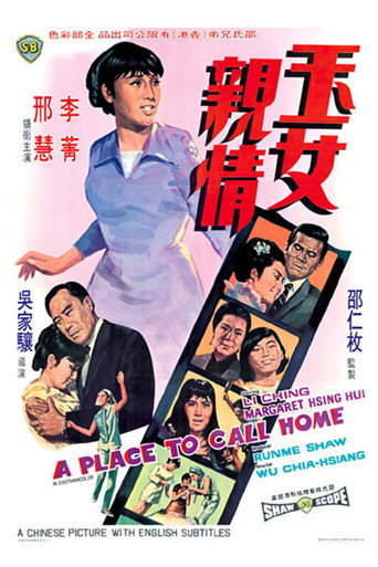 玉女亲情海报