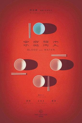 家庭简史海报