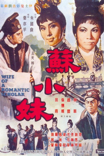 苏小妹海报