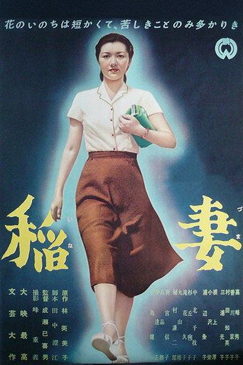 稻妻海报