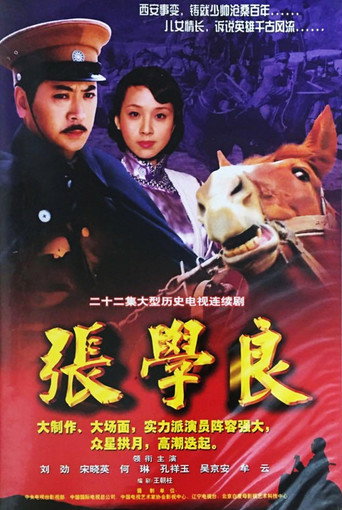 张学良海报