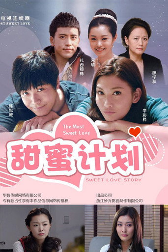 甜蜜计划海报