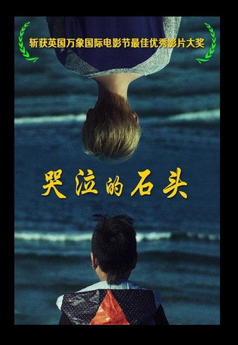 哭泣的石头海报