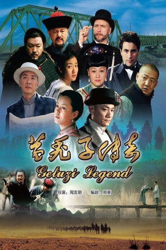 葛秃子传奇海报