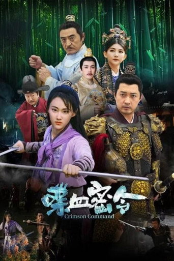 喋血密令海报