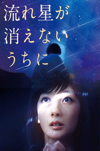 流星慢舞海报