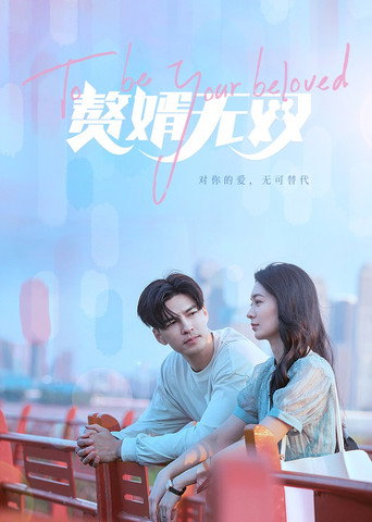 赘婿无双海报