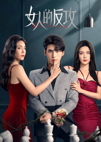 女人的反攻海报