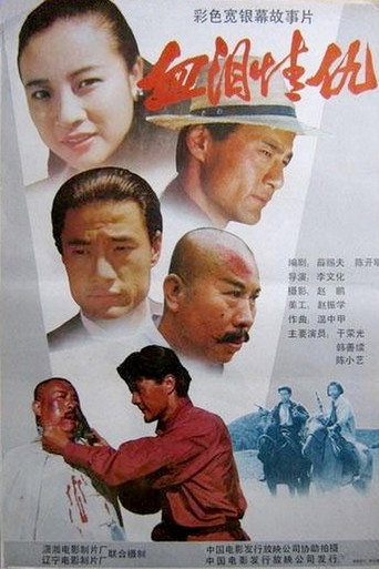 泰山恩仇海报