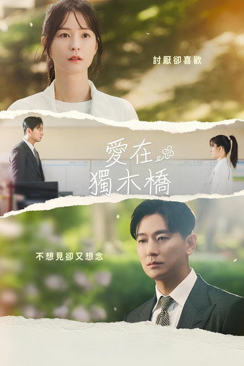 爱在独木桥海报