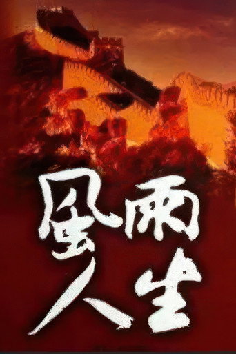 风雨人生海报