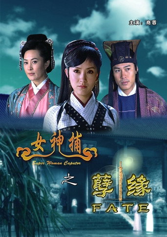 女神捕之孽缘海报