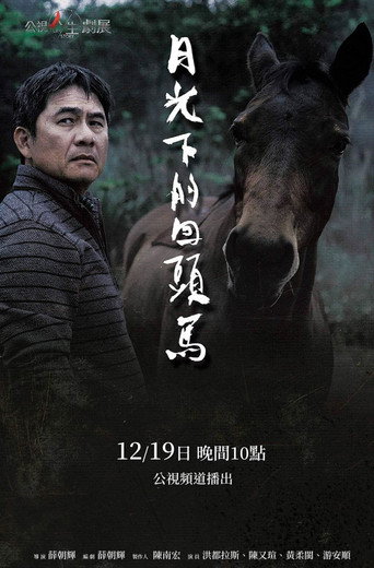 月光下的回头马海报