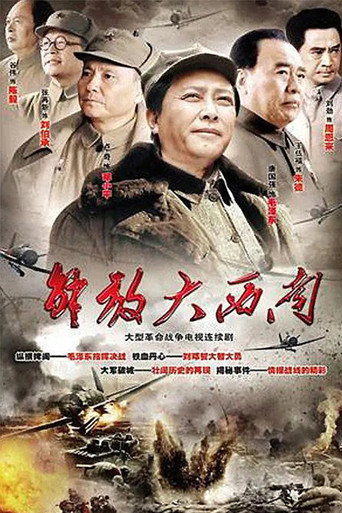 解放大西南海报