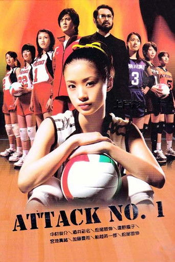 排球女将海报