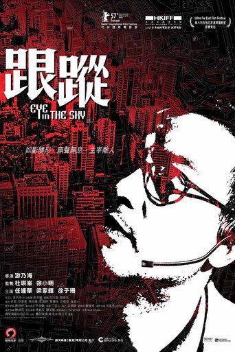 跟踪海报