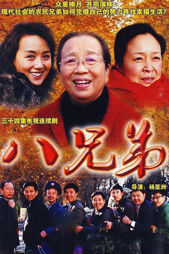 八兄弟海报