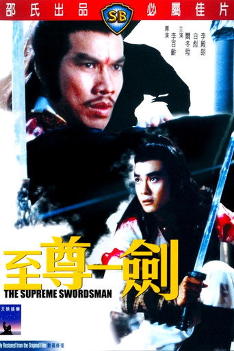 至尊一剑海报