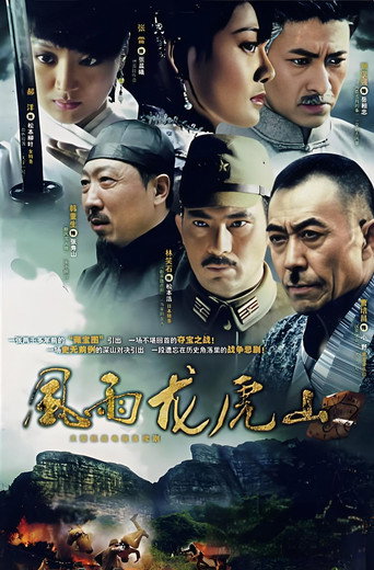 风雨龙虎山海报