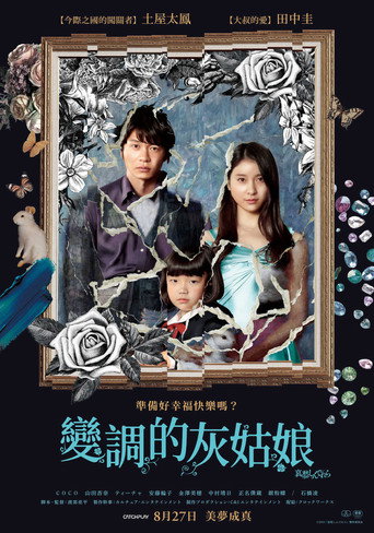 哀愁灰姑娘海报