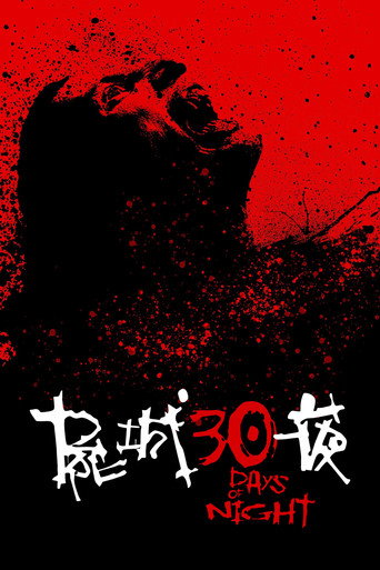 三十极夜海报
