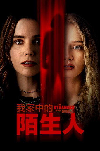 我家的陌生人海报