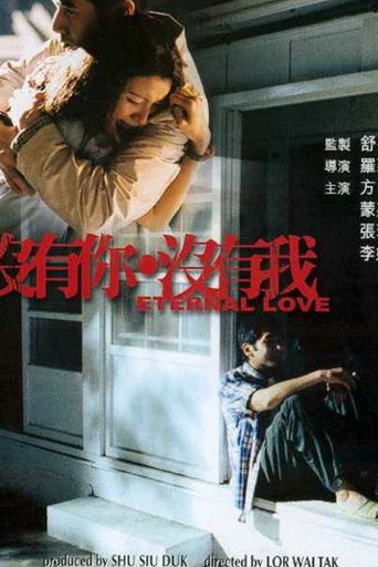 没有你没有我海报