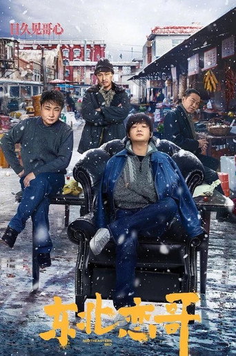 东北恋哥海报